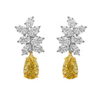 3 Carat Each Yellow Diamond With White Diamond Cluster Earrings