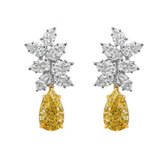 3 Carat Each Yellow Diamond With White Diamond Cluster Earrings