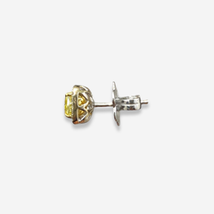 Intense Yellow Cushion Diamond Halo Studs