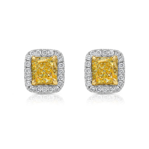 Fancy intense yellow cushion diamond studs with a F/VS2 clarity.