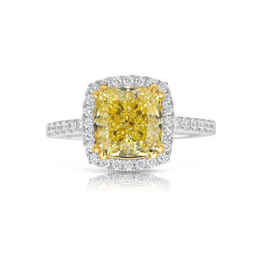 Celebrity Yellow diamond ring with white halo diamonds.