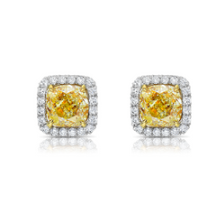 Radiant yellow diamond earrings. yellow diamond studs. yellow diamond halo studs. cushion cut yellow diamonds.