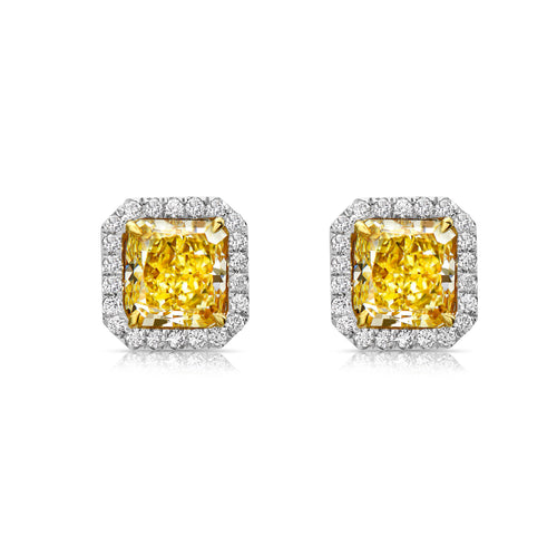 yellow diamond earrings. yellow diamond studs. fancy yellow diamonds. fancy yellow diamond studs earrings. yellow diamond halo earrings.