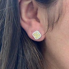 yellow diamond earrings. yellow diamond studs. fancy yellow diamonds. fancy yellow diamond studs earrings. yellow diamond halo earrings.