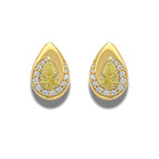 Bezel Swirl Yellow Diamond Studs