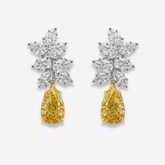 3 Carat Each Yellow Diamond With White Diamond Cluster Earrings