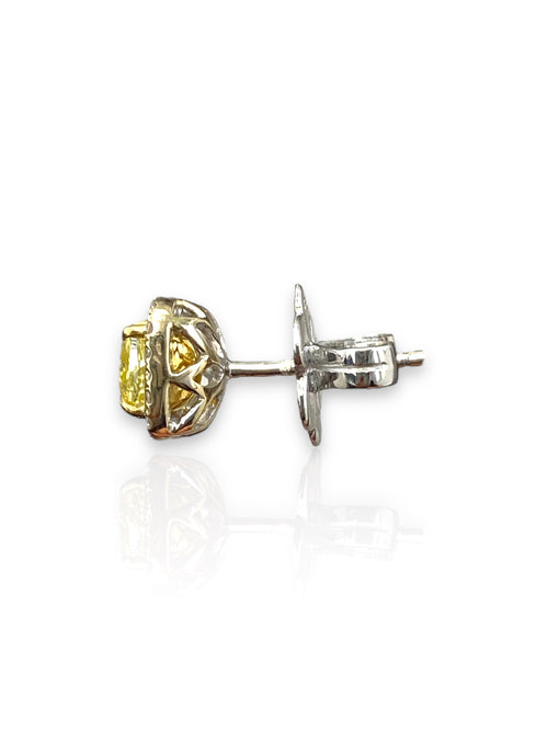 Fancy intense yellow cushion diamond studs with a F/VS2 clarity.