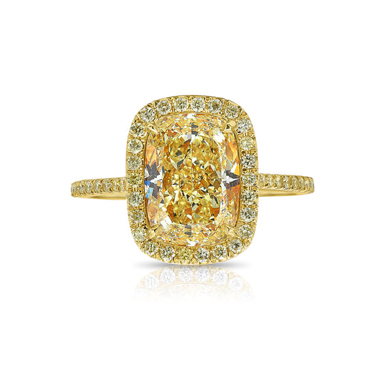Yellow elongated cushion diamond ring surrounded by a yellow diamond halo set in yellow gold