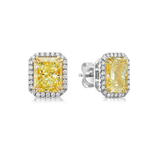 6 carat light yellow diamond earrings. Diamond earrings. Yellow diamond earrings. Yellow diamond studs. Yellow diamond jewelry