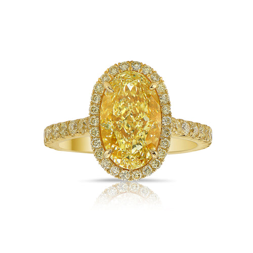 Light Yellow Oval diamond ring set in 18 karat yellow gold with yellow round diamonds.