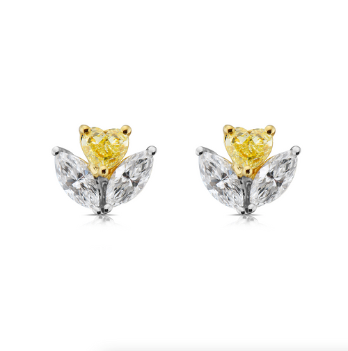 yellow diamond studs. everyday diamond studs