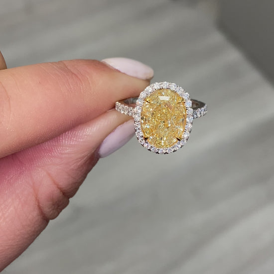 yellow diamond ring. yellow diamond oval ring. yellow diamond halo ring.yellow diamond ring. yellow diamond oval ring. yellow diamond halo ring.